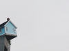 Livin’ on the edge: why telco operators need to implement disaggregation at the edge