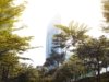Indonesia data centre market to reach $3 billion by 2028