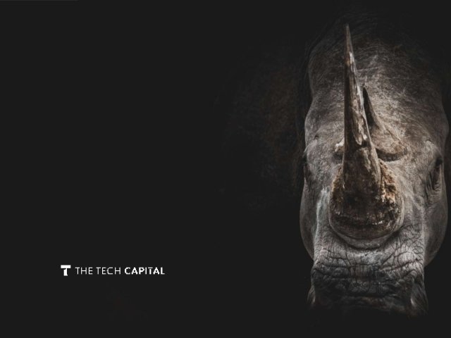 Managing risk and growing resilience in an era of Black Swans and Grey Rhinos