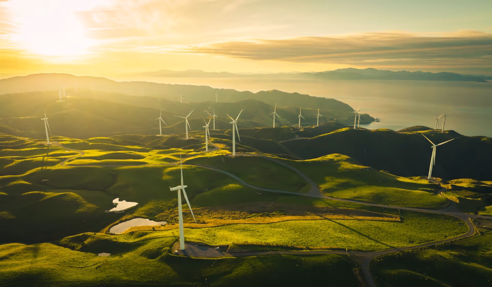 European data centre capacity to surge sixfold to 38GW by 2035, fuelling renewable energy boom