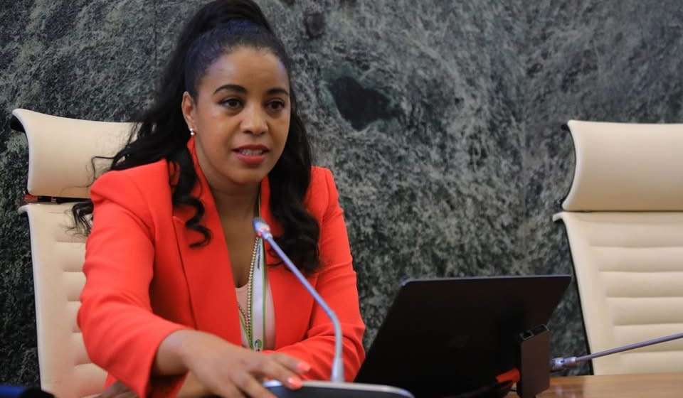 Ethio Telecom calls for land acquisition reforms to spur $1bn network expansion