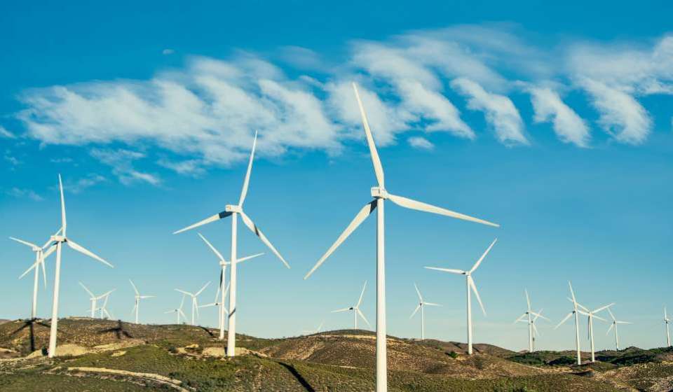 Amazon invests in Indian wind farms to meet climate goals