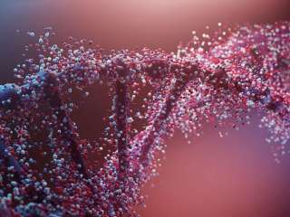 Nature's code, tomorrow's storage