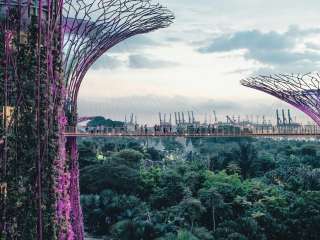 Singapore plans rules for data centre efficiency, cyber resilience, and incident reporting