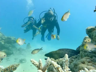 Into the deep: What scuba diving taught Leon Ifayemi about calm, courage and leadership
