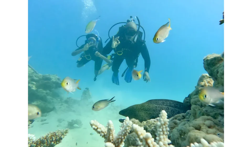 Into the deep: What scuba diving taught Leon Ifayemi about calm, courage and leadership