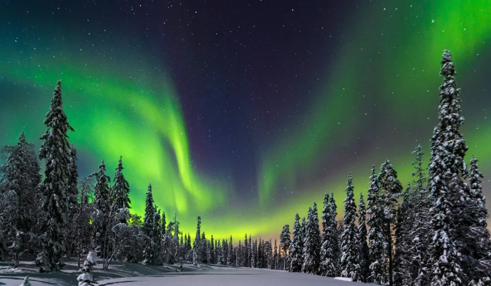 Arcem acquires land for 500MW Finland data centre campus