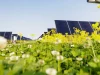 Meta signs 150MW Louisiana solar PPA with Lightsource bp