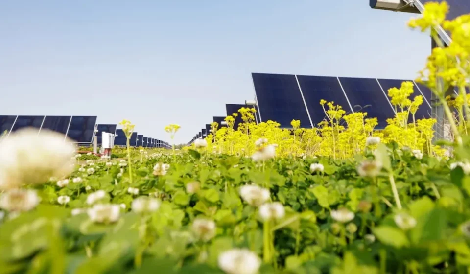 Meta signs 150MW Louisiana solar PPA with Lightsource bp