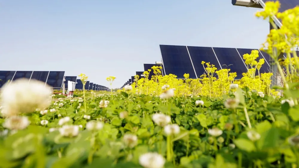 Meta signs 150MW Louisiana solar PPA with Lightsource bp