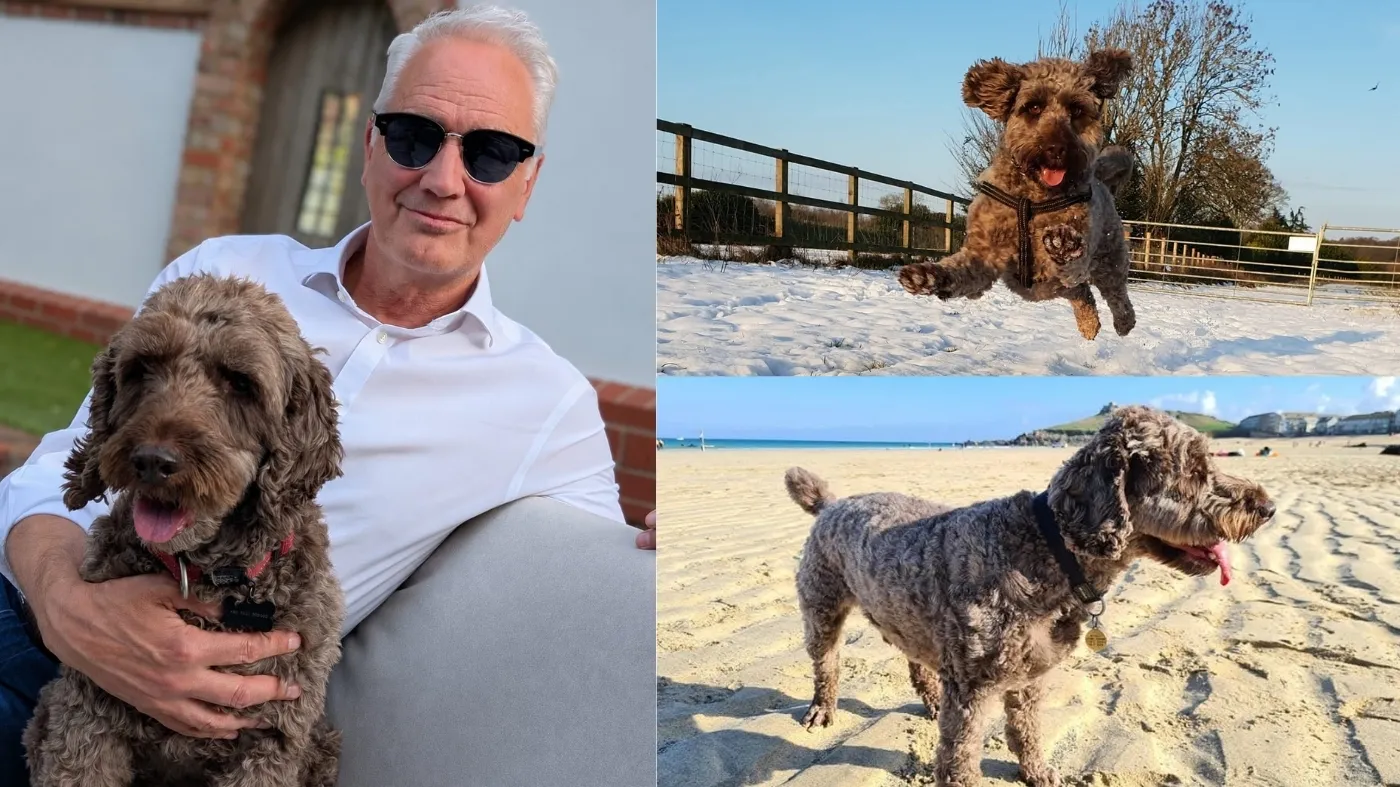 The Tech Capital's Special Article Connected leadership, four paws at a time Global Head of TMT Infrastructure, The Tech Capital 8 Mins August 19, 2026 | 10:59 AM GMT+2